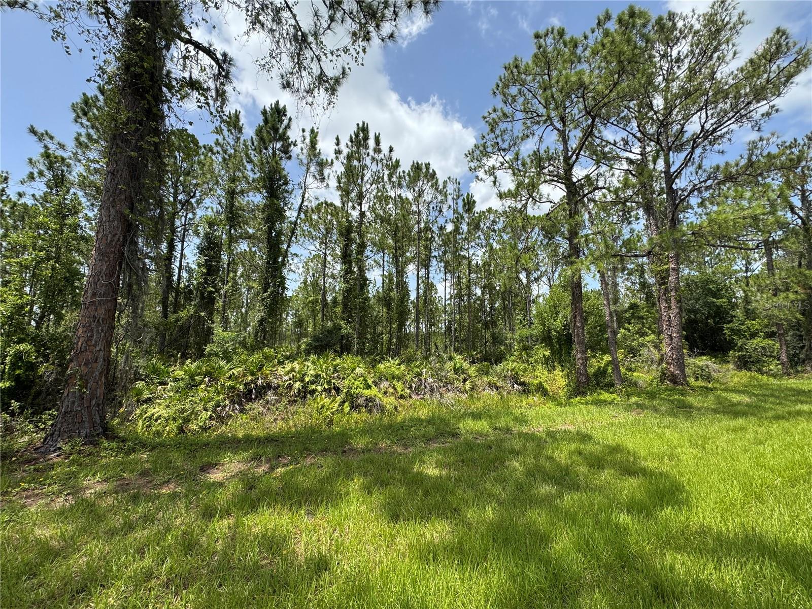 Details for  Hwy 630 E  , FROSTPROOF, FL 33843