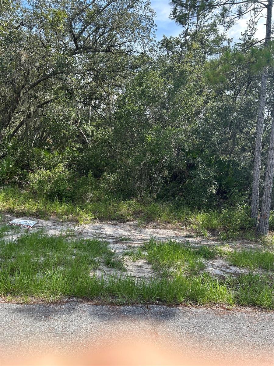 Listing Details for 1324 Tallahassee Court, KISSIMMEE, FL 34759