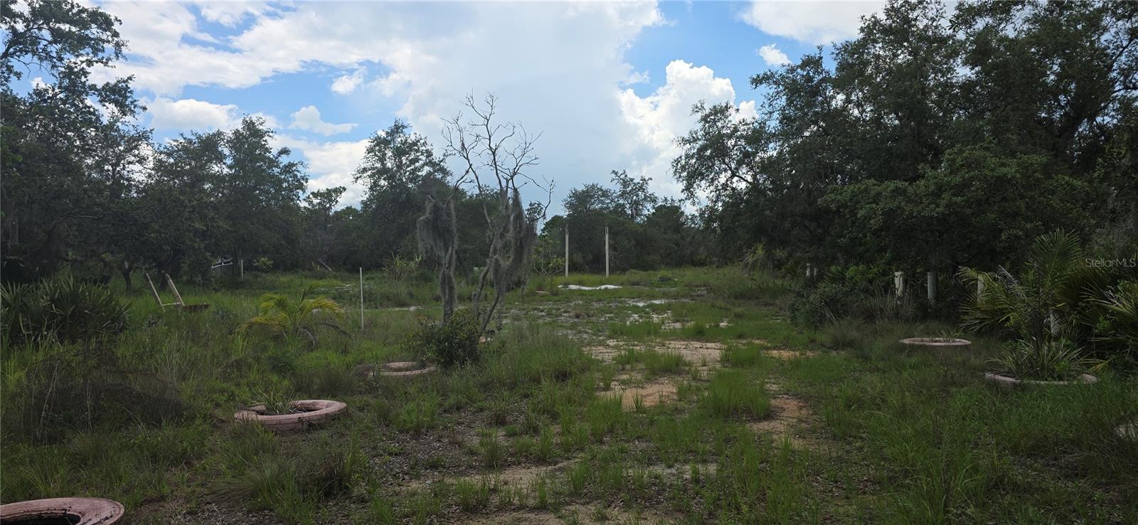 Details for 0 Woodville Street, LAKE WALES, FL 33853