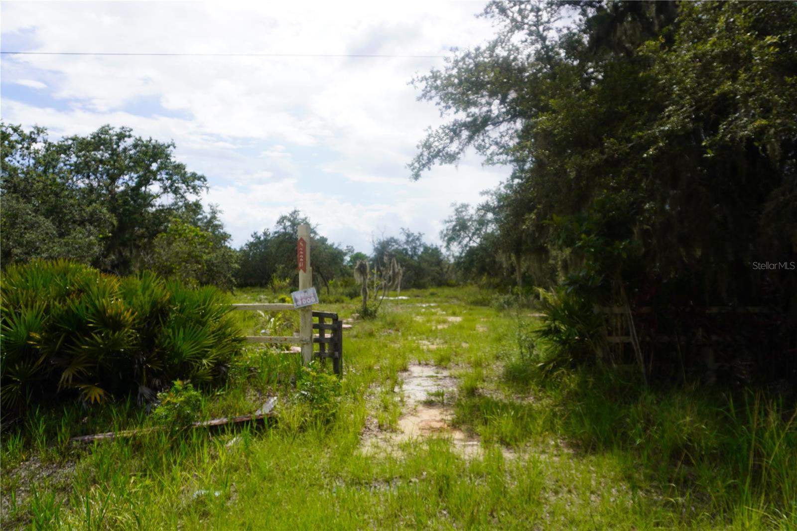 Image 6 of 63 For 0 Woodville Street