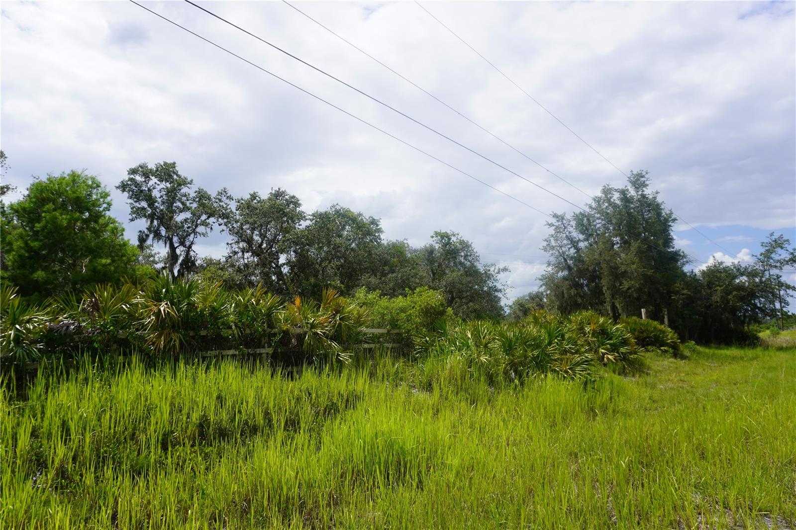 Image 8 of 63 For 0 Woodville Street