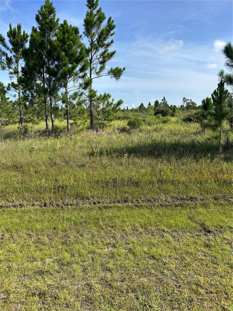 Listing Details for 415 Belmonte Drive, INDIAN LAKE ESTATES, FL 33855
