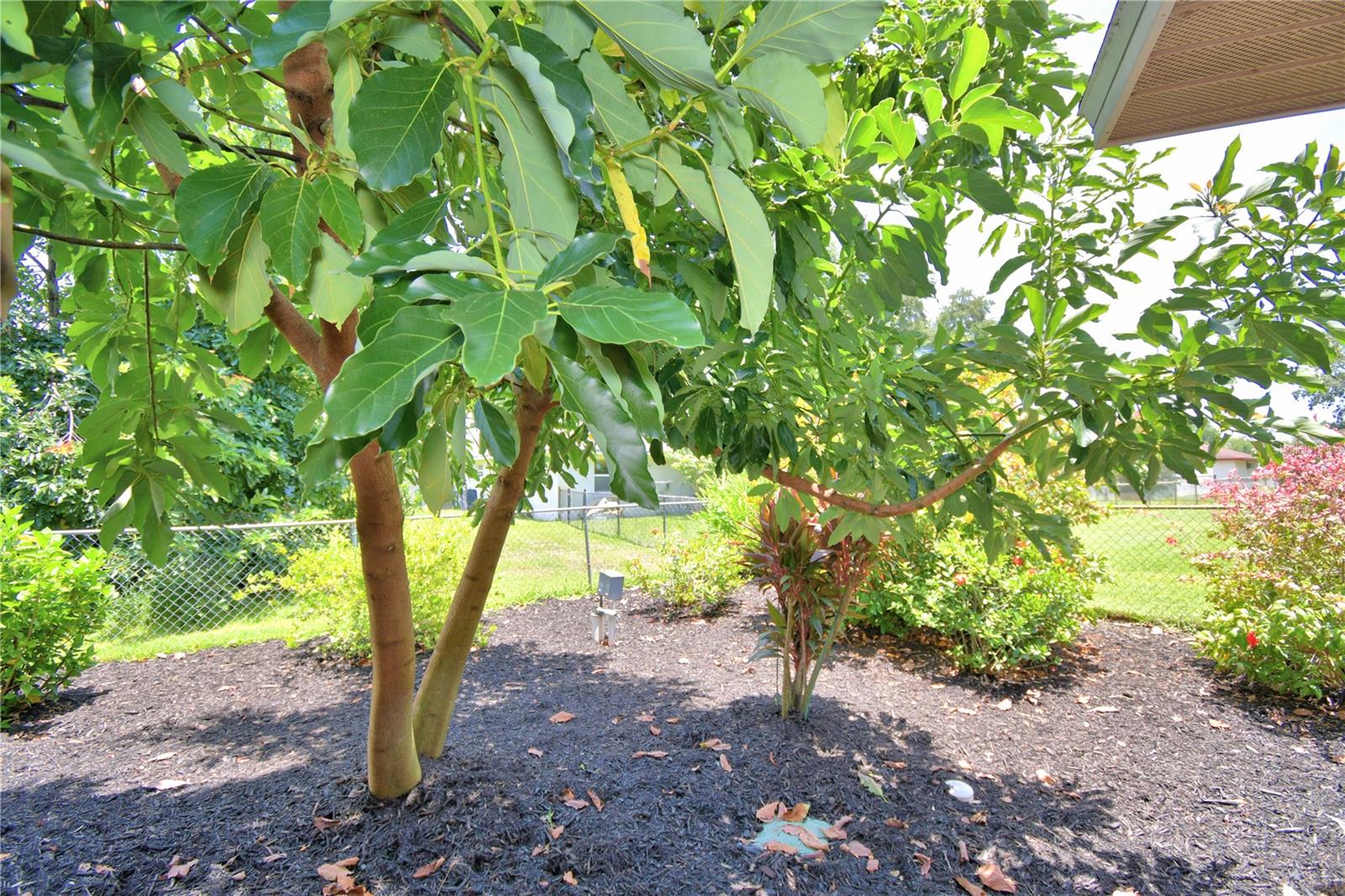 Image 64 of 91 For 2814 Grapefruit Drive