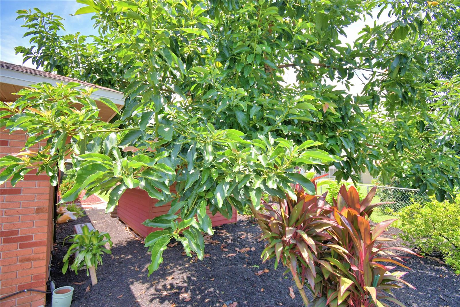 Image 66 of 91 For 2814 Grapefruit Drive