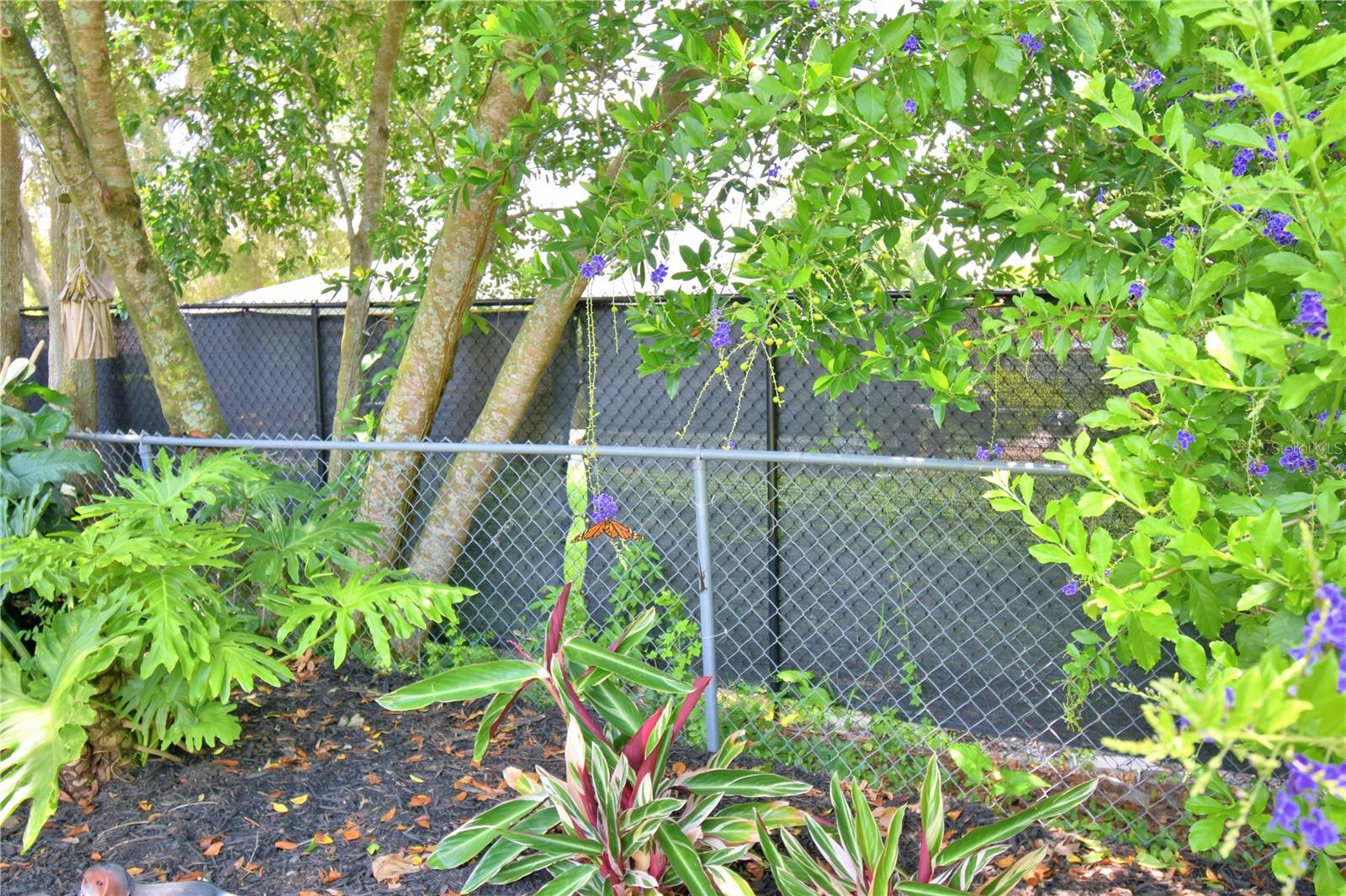 Image 76 of 91 For 2814 Grapefruit Drive