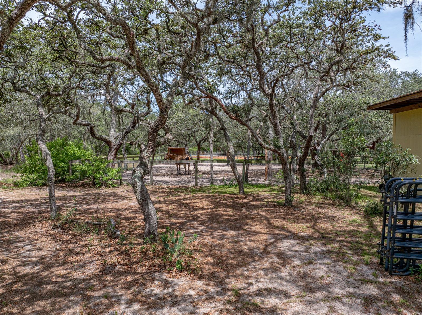 Image 55 of 80 For 2015 Tiger Creek Trail