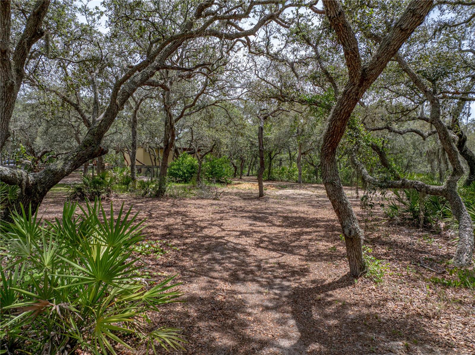 Image 71 of 80 For 2015 Tiger Creek Trail