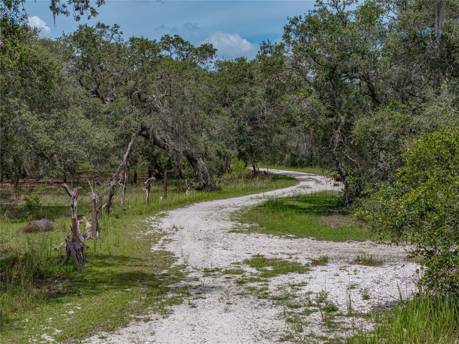 Image 73 of 80 For 2015 Tiger Creek Trail