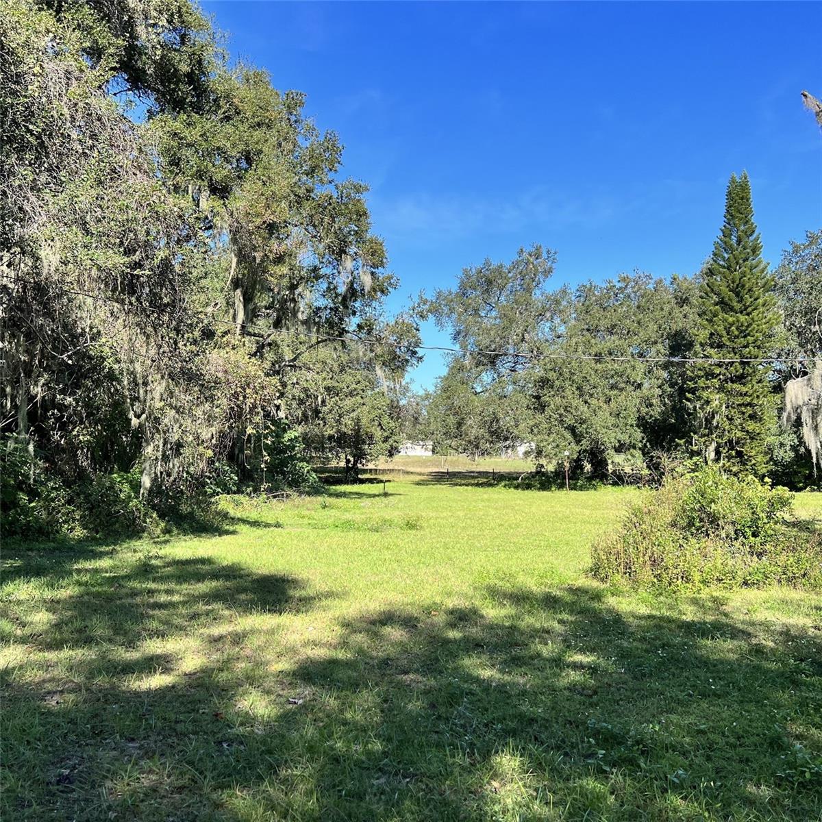 Image 4 of 11 For 4504 County Road 540a