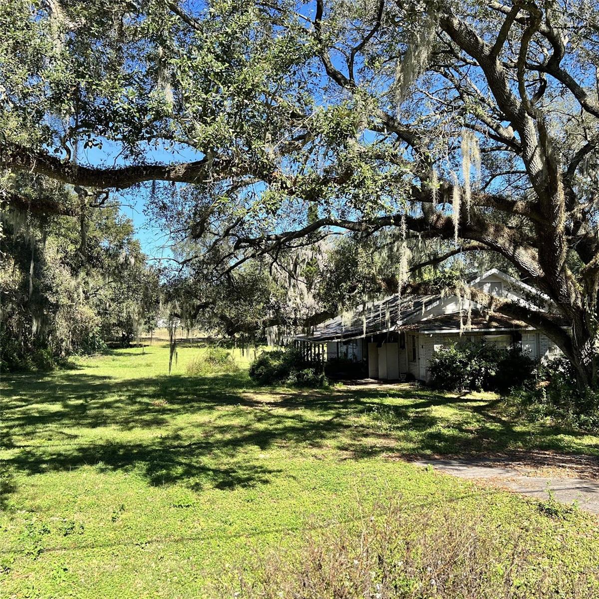 Image 5 of 11 For 4504 County Road 540a