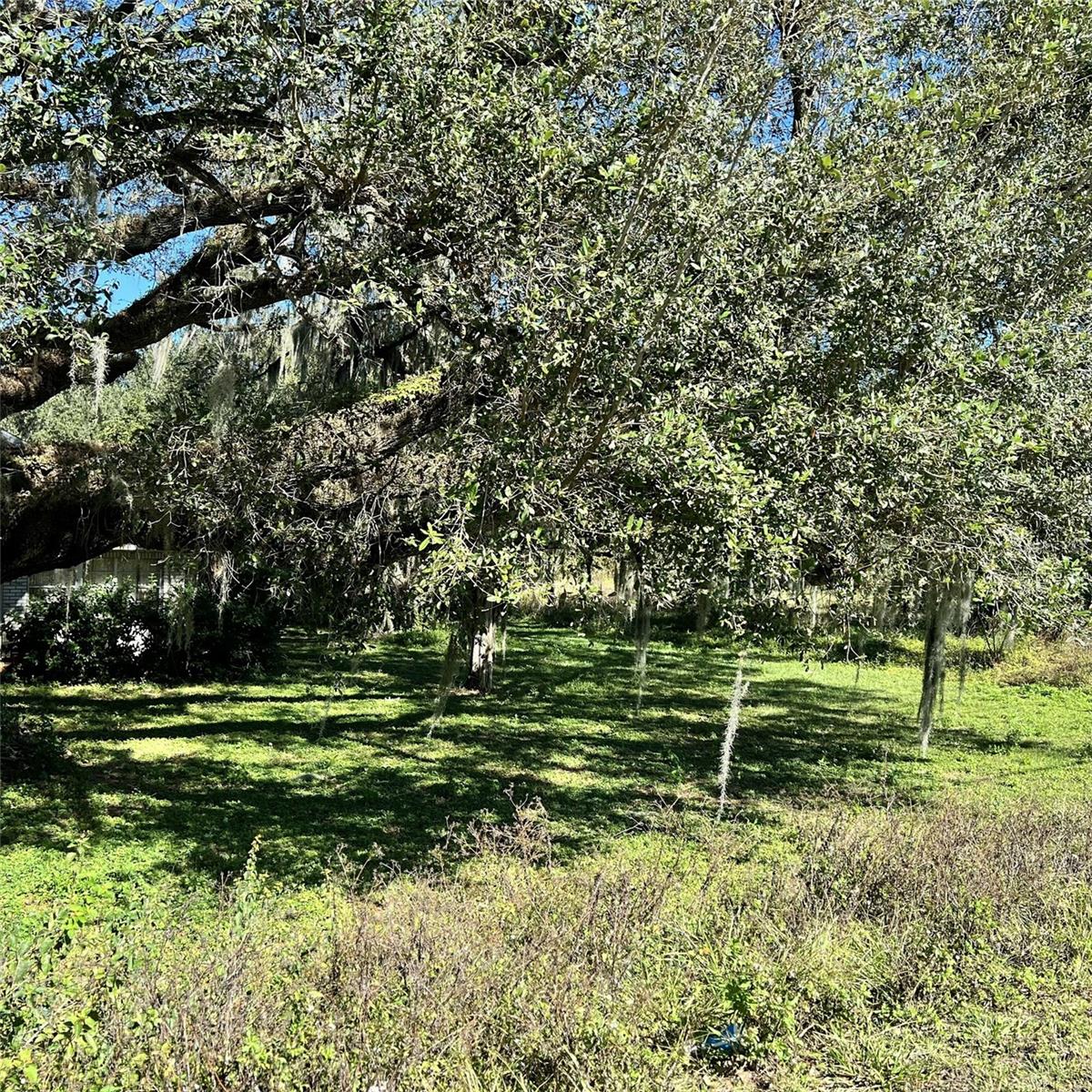 Image 6 of 11 For 4504 County Road 540a
