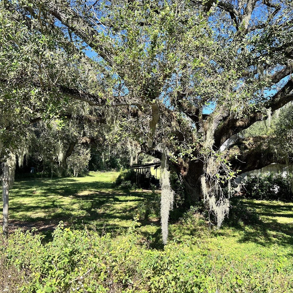 Image 7 of 11 For 4504 County Road 540a