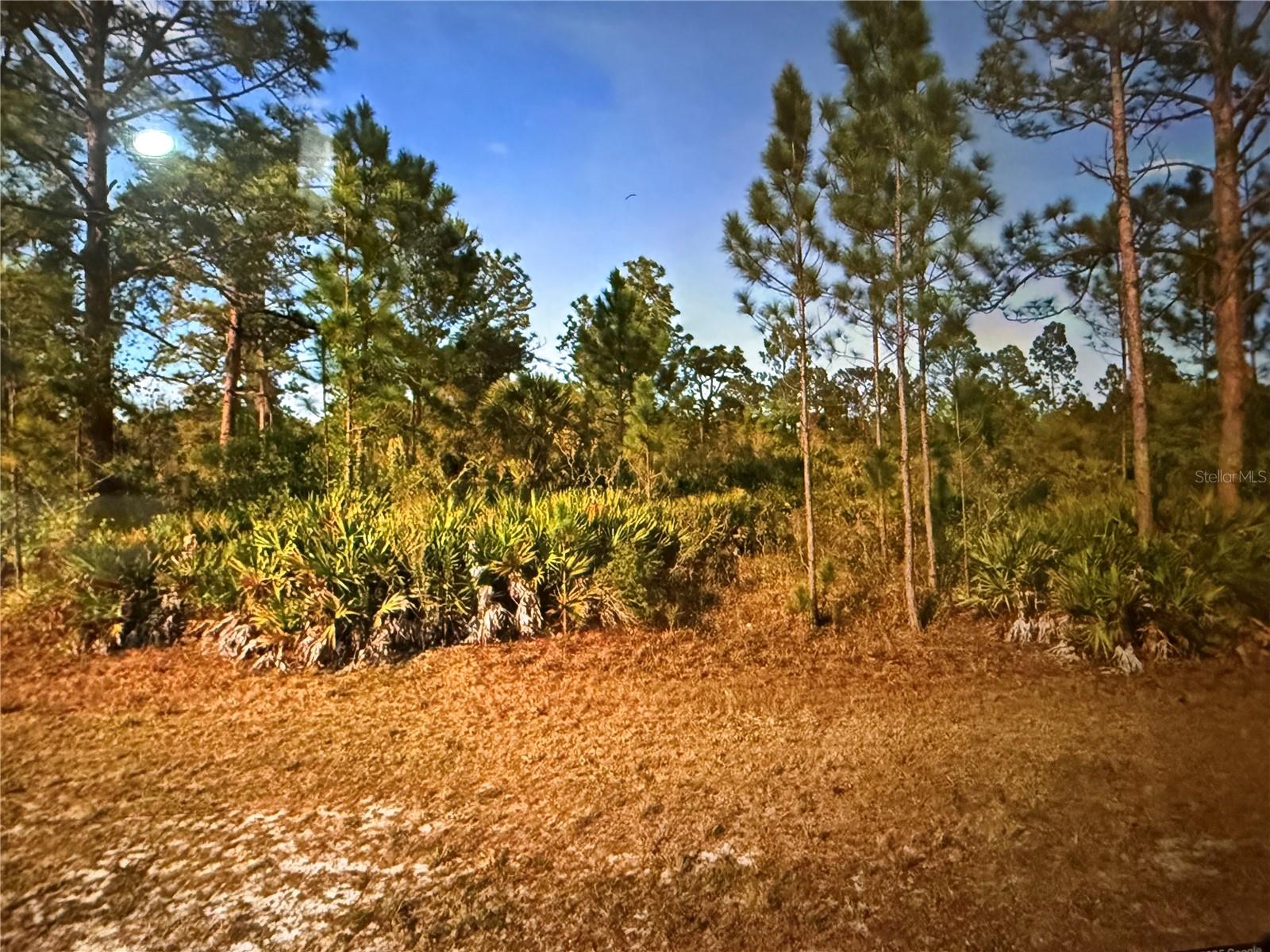 Listing Details for 604 Orchid Drive, INDIAN LAKE ESTATES, FL 33855