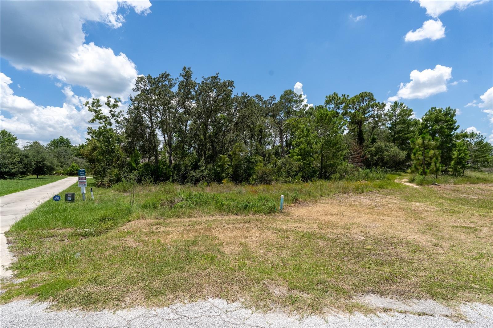 Details for 81 Zinnia Ln E, POINCIANA, FL 34759