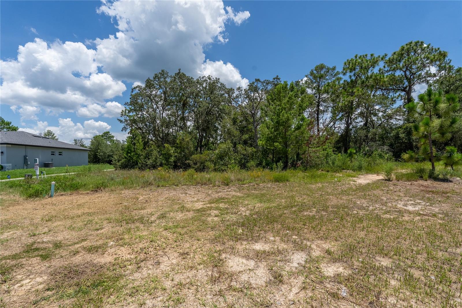 Image 2 of 14 For 81 Zinnia Ln E