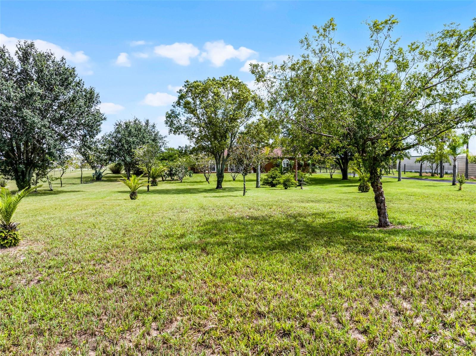 Image 30 of 40 For 567 Libby Alico Road