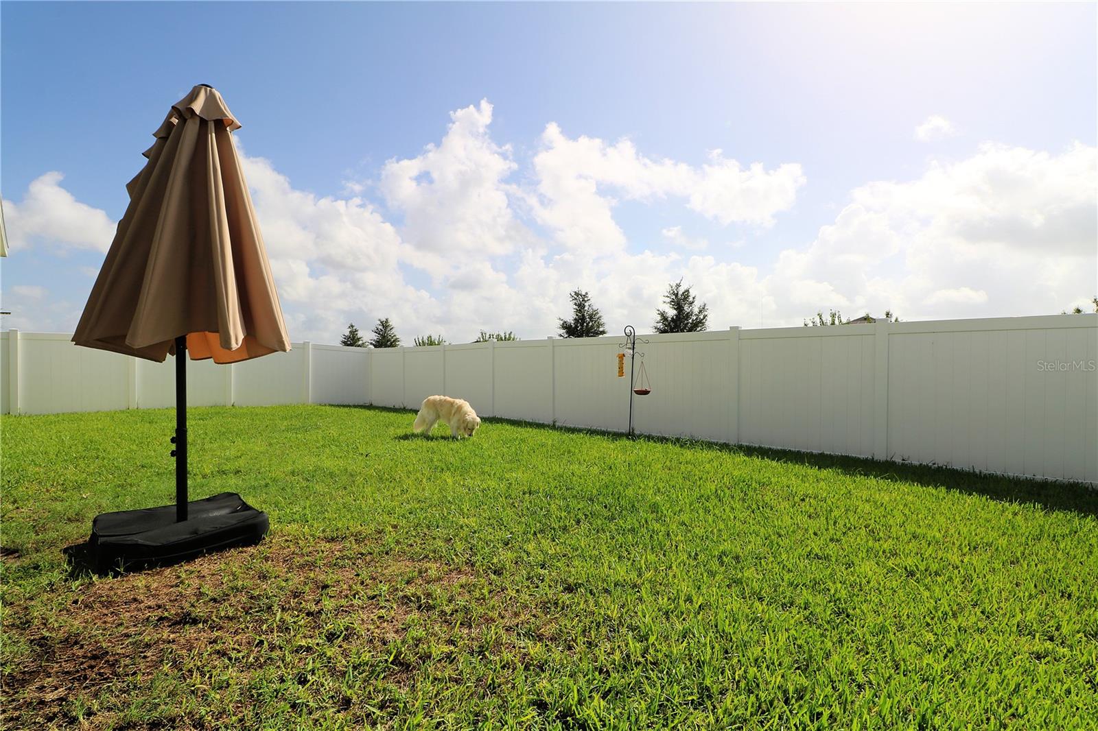 Image 18 of 29 For 1225 Tupelo Trail