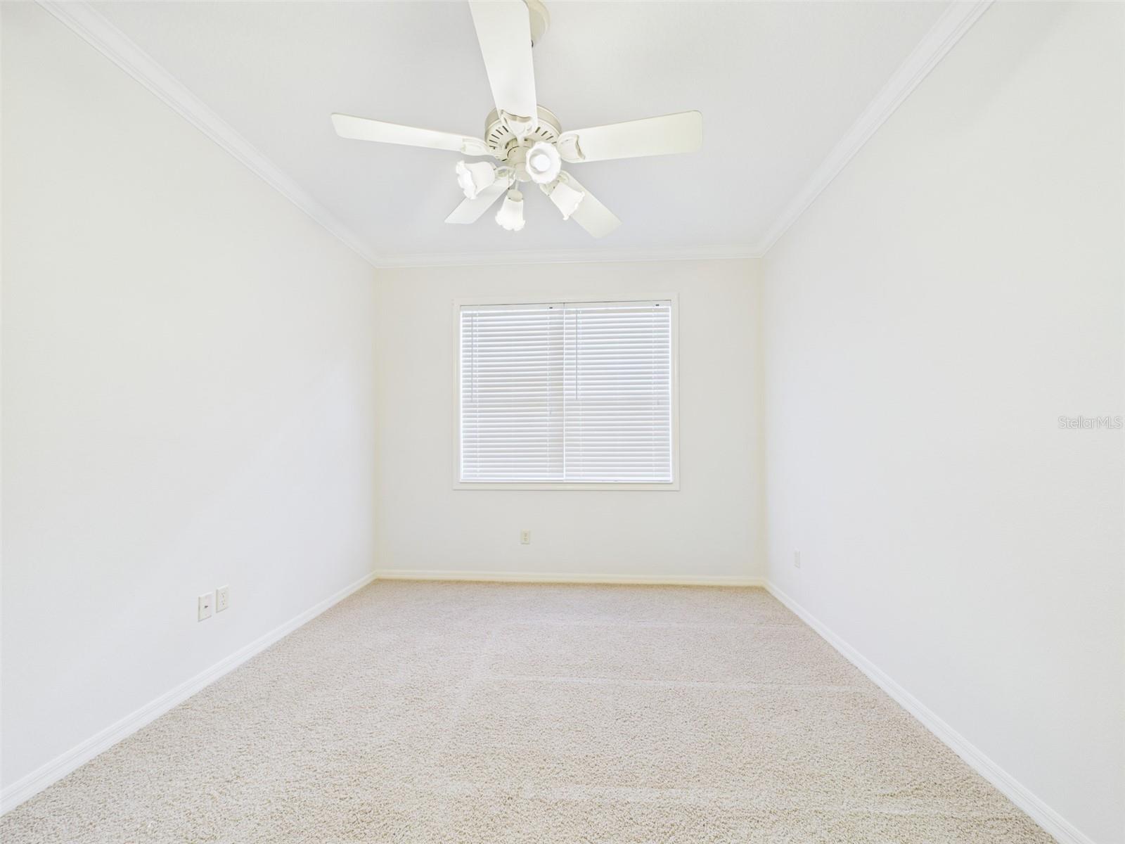 Image 16 of 82 For 375 Simpson Street