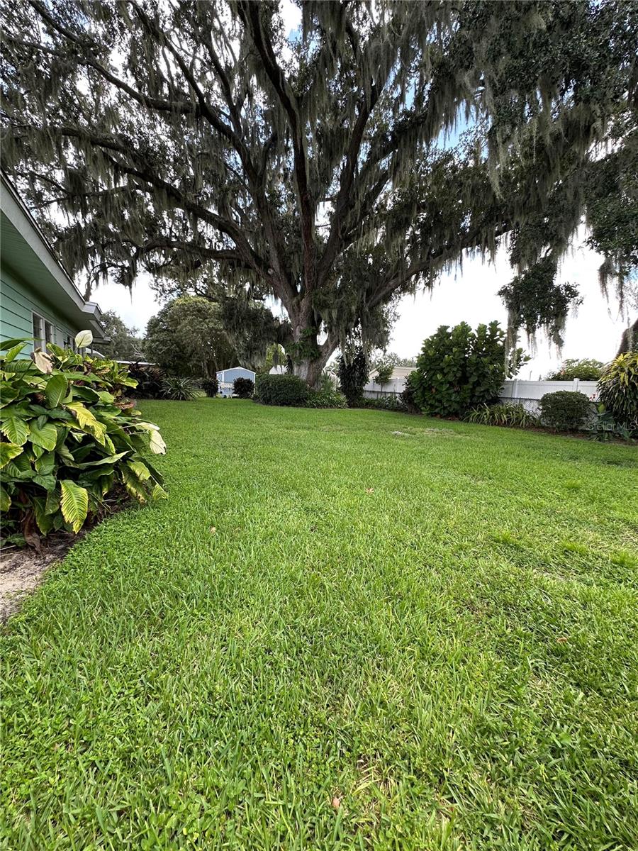 Image 44 of 46 For 116 Palm Avenue