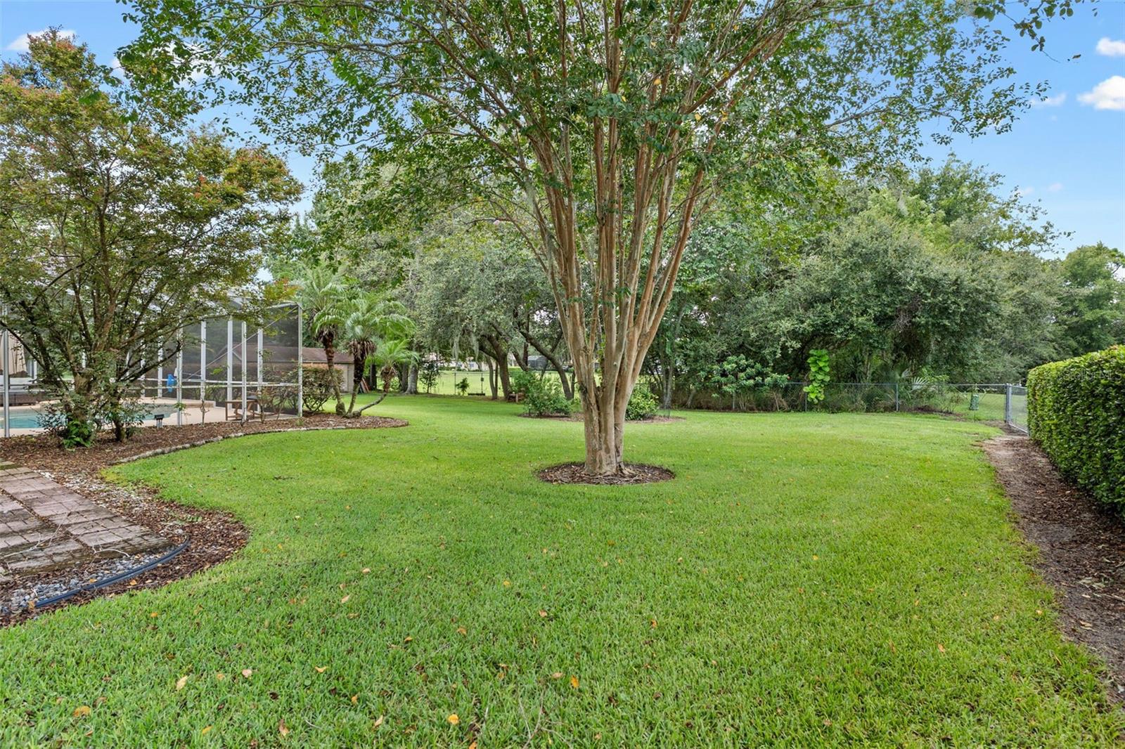 Image 31 of 47 For 89 Pine Forest Lane