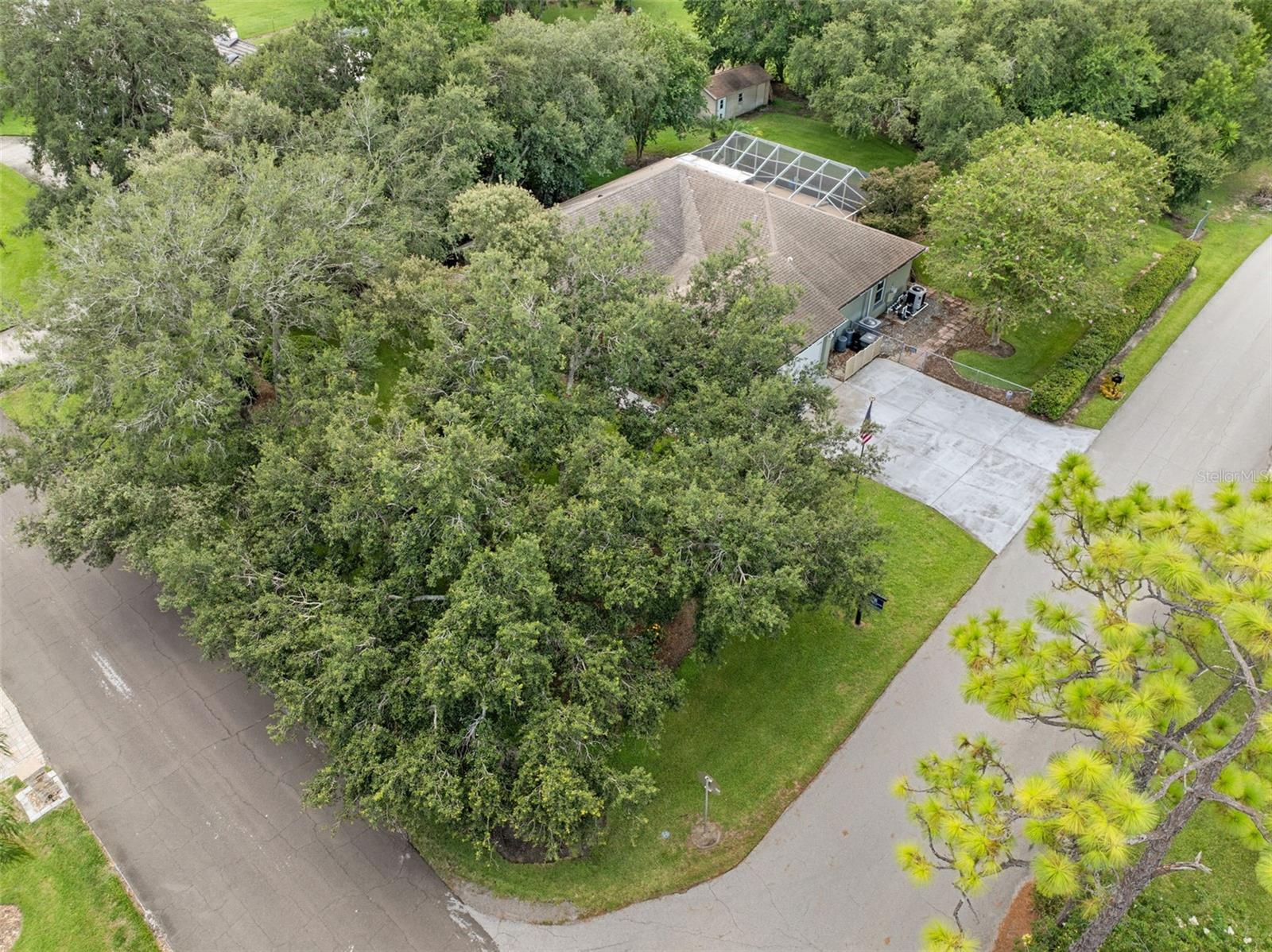 Image 37 of 47 For 89 Pine Forest Lane