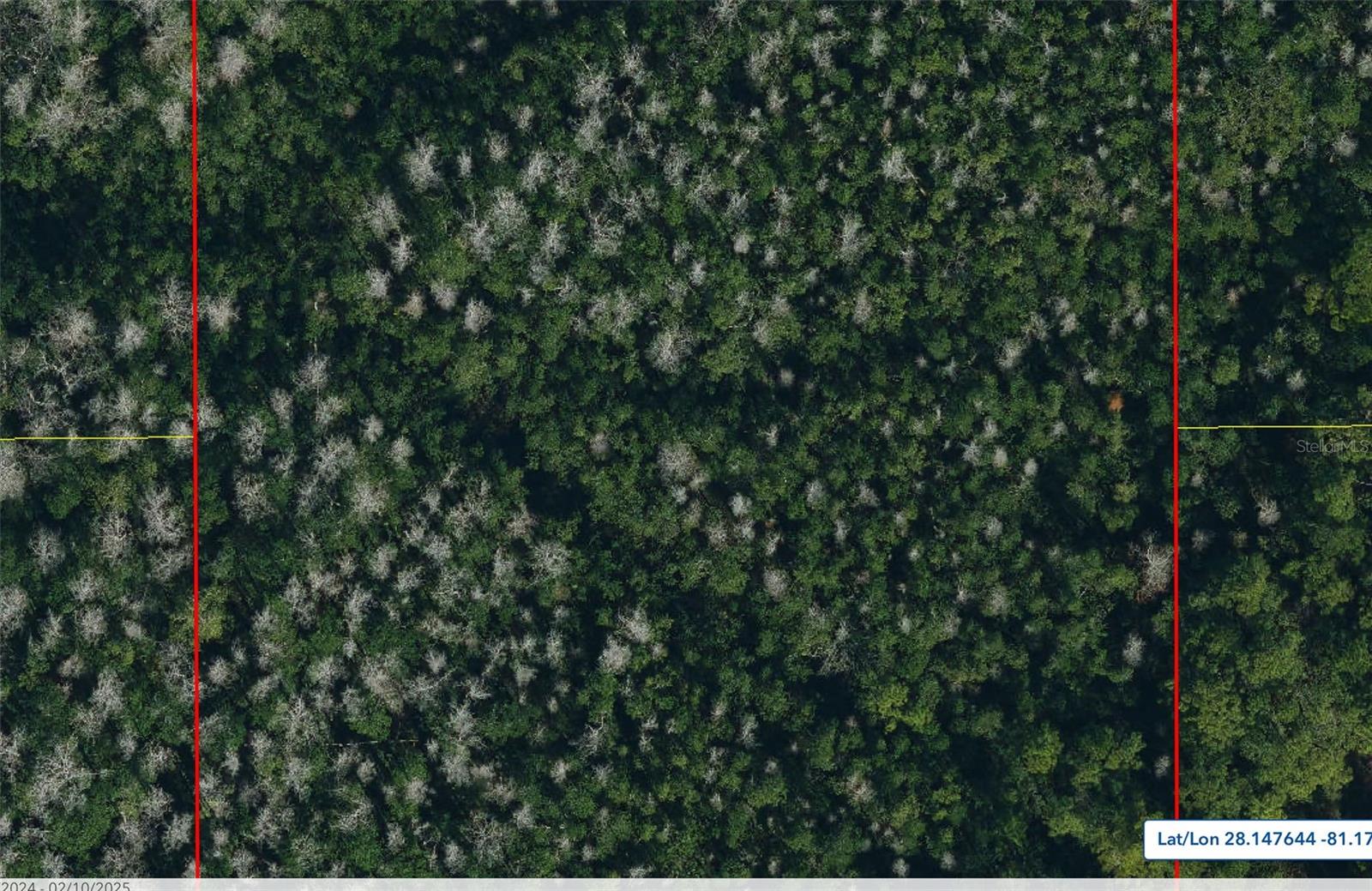Image 4 of 8 For 0 Holopaw Groves Road