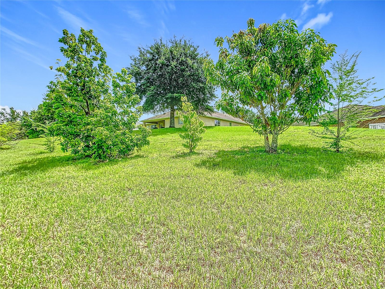 Image 55 of 63 For 1803 Blue Sky Boulevard