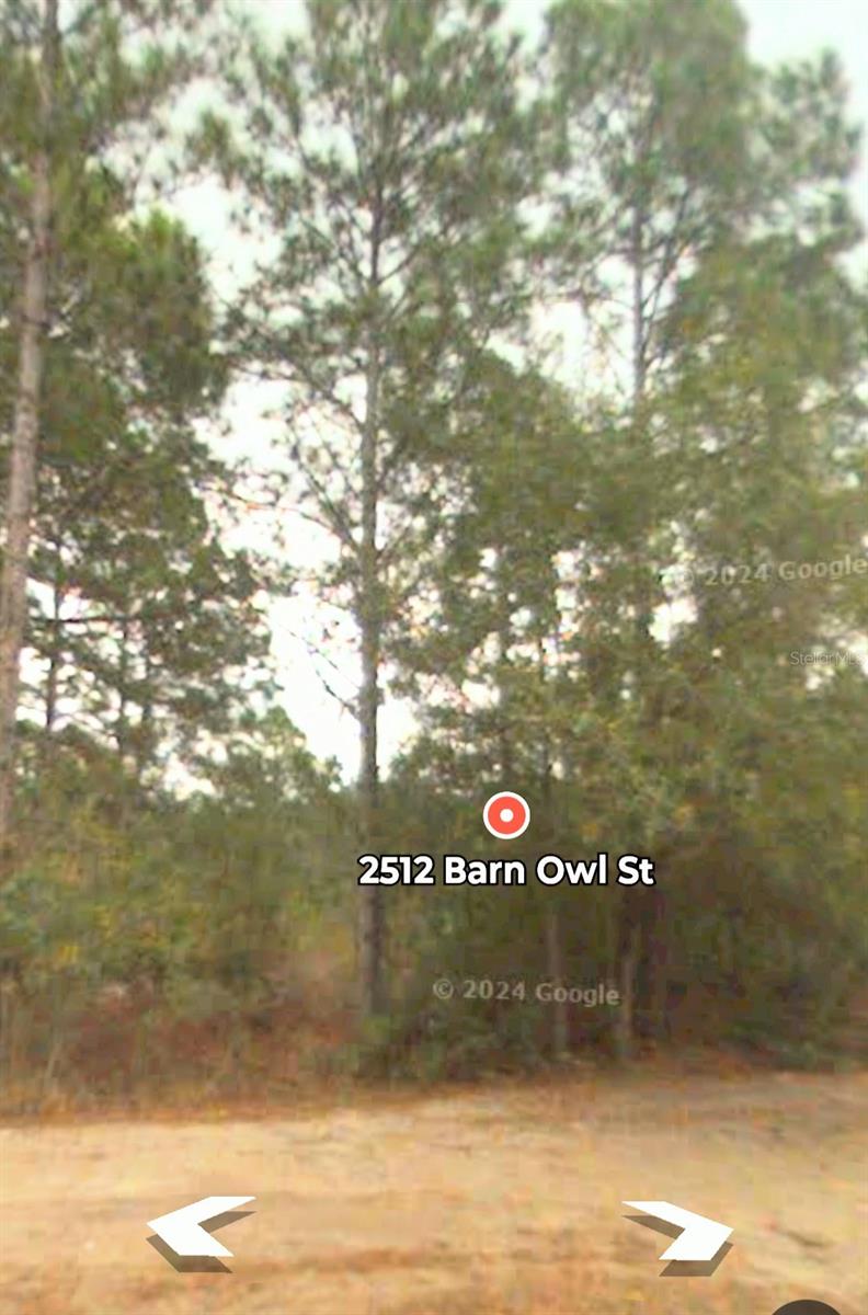 Image 2 of 4 For 2512 Barn Owl Street