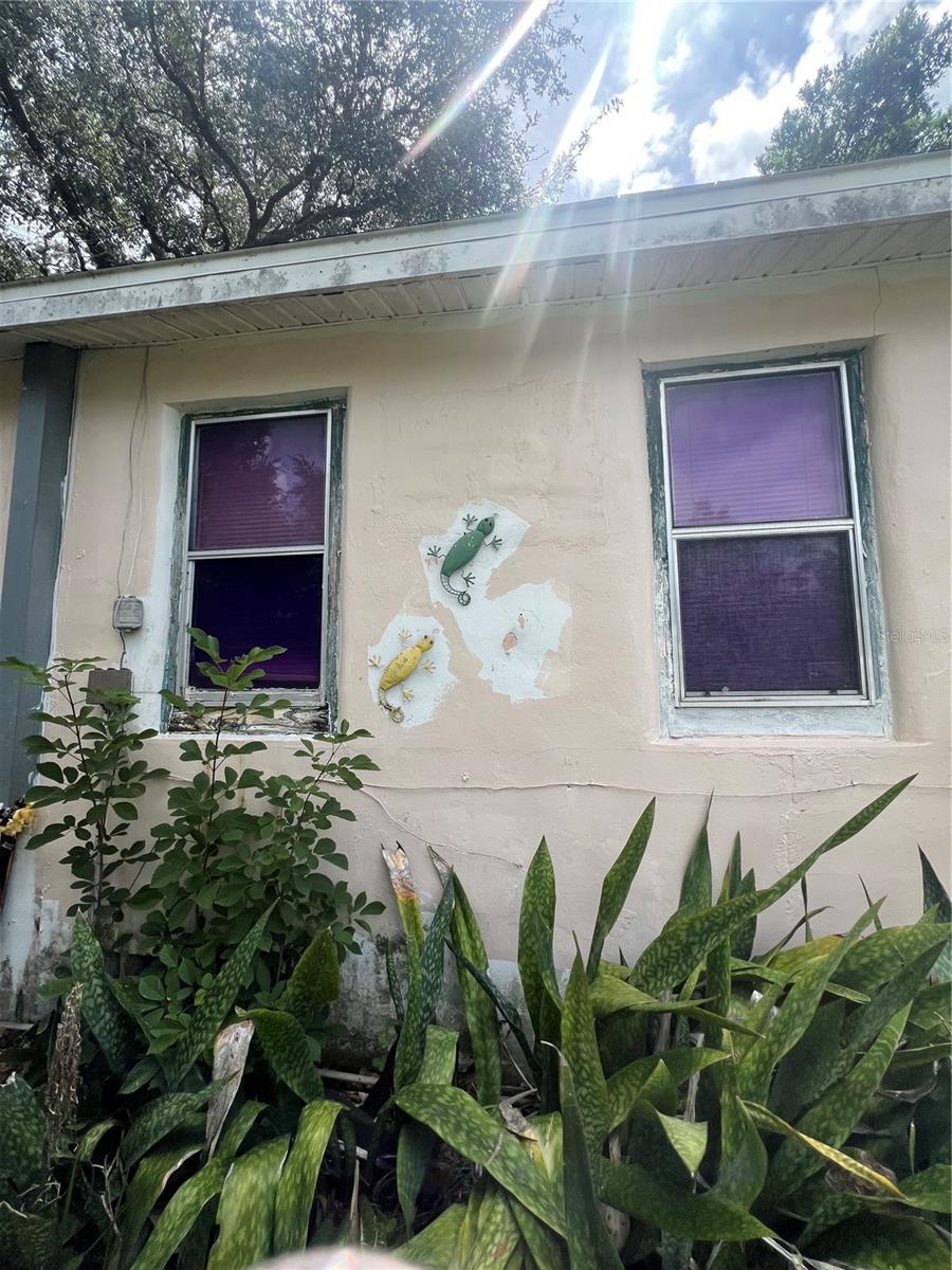 Image 21 of 21 For 529 Mcdonald Avenue