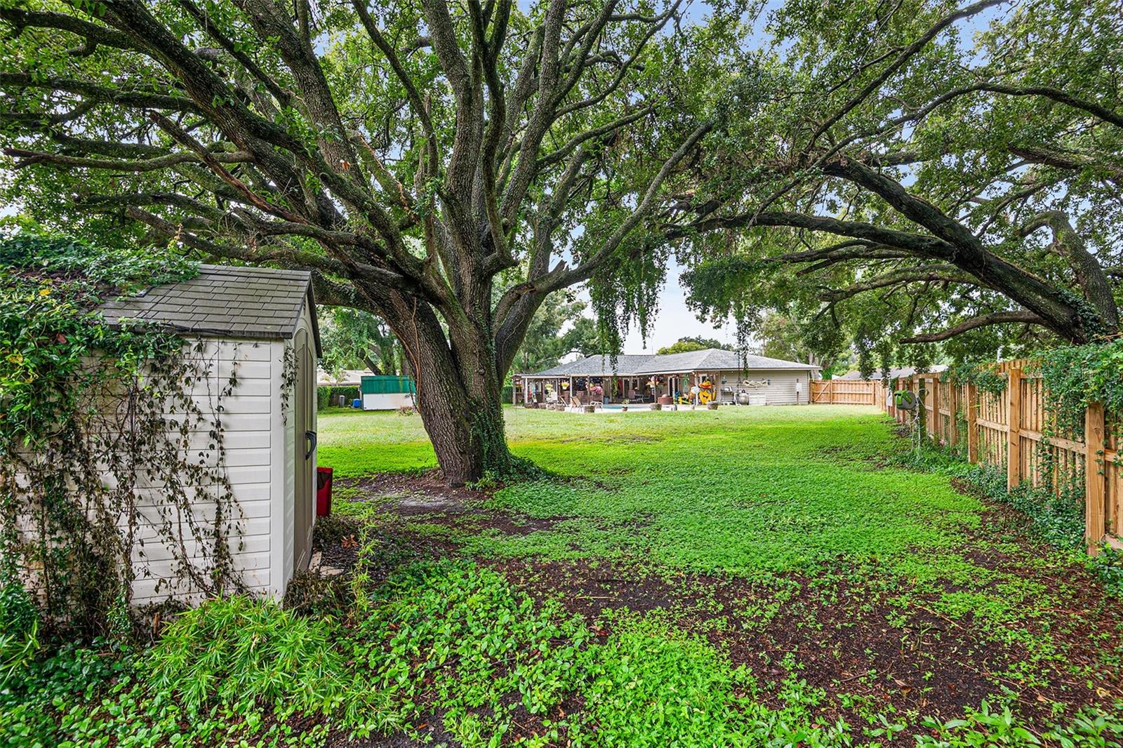 Image 42 of 43 For 204 Essary Street N