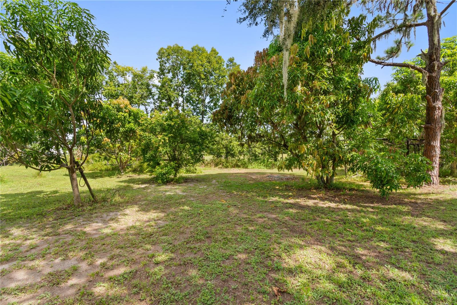 Image 21 of 58 For 1360 Collany Lane