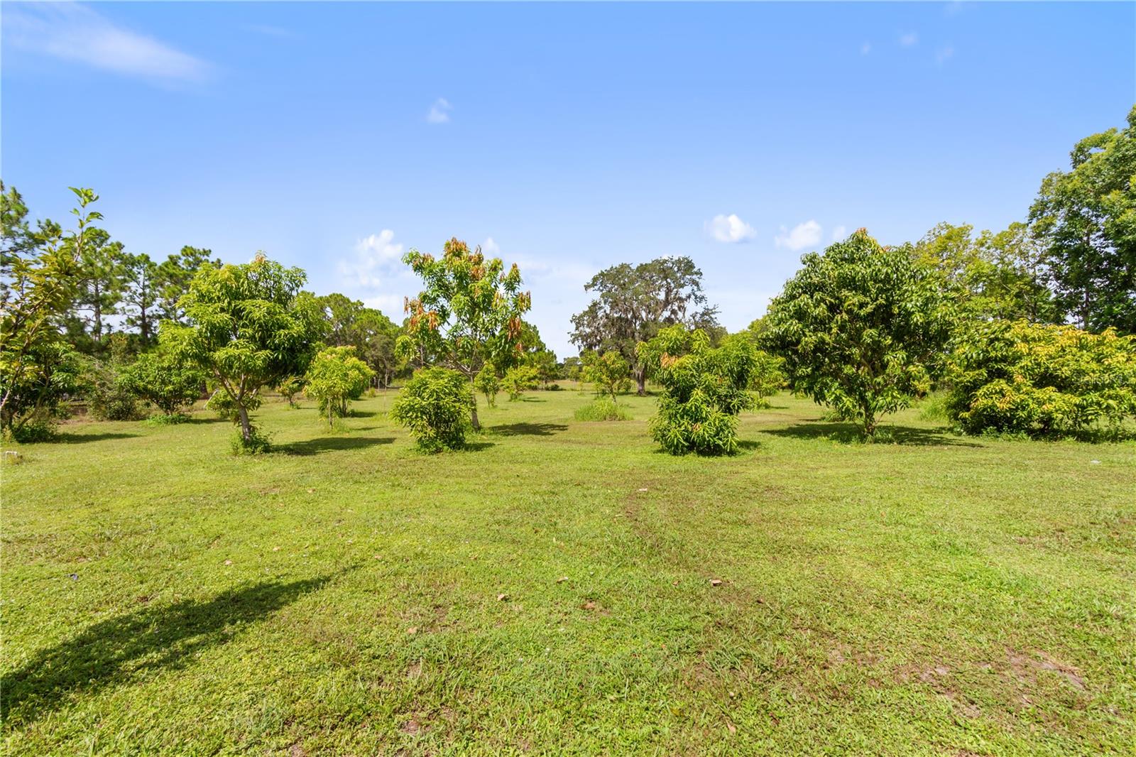 Image 22 of 58 For 1360 Collany Lane