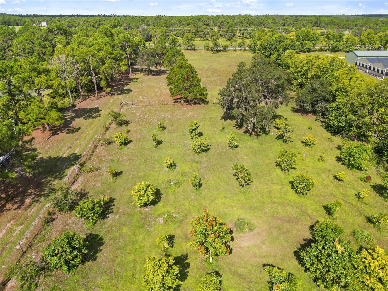 Image 31 of 58 For 1360 Collany Lane