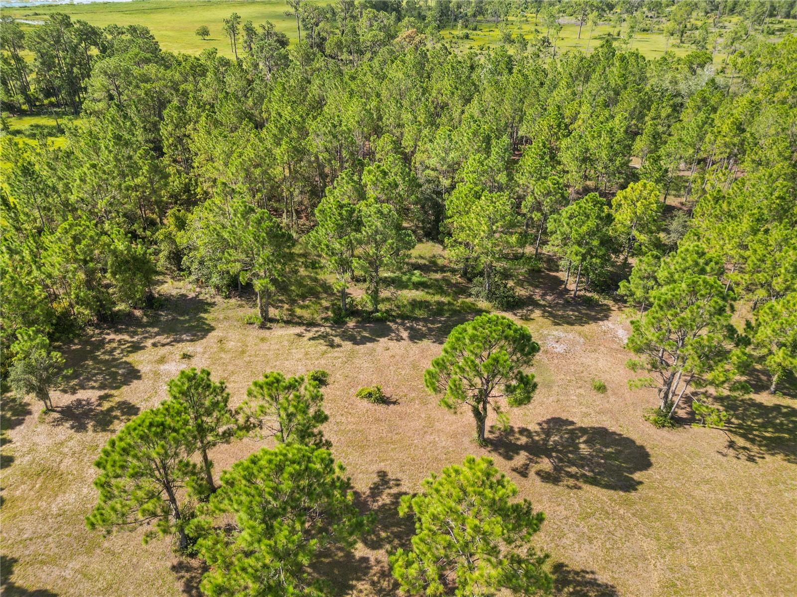 Image 41 of 58 For 1360 Collany Lane