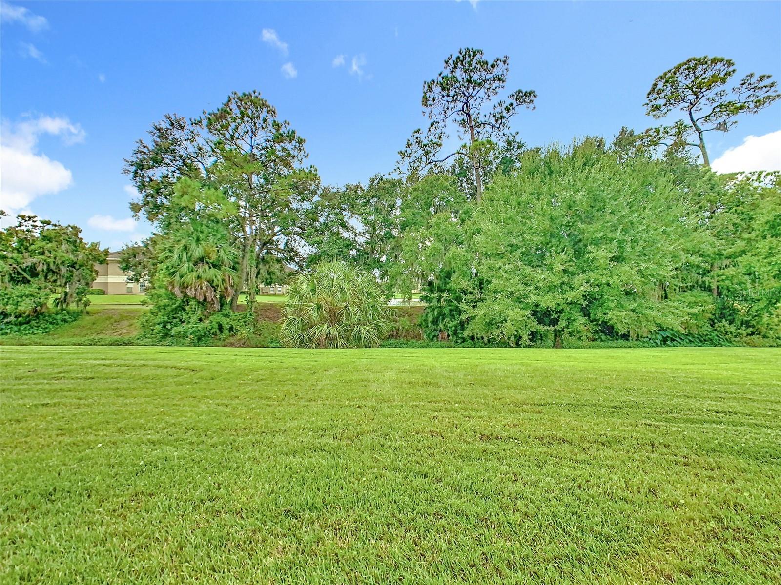 Image 39 of 58 For 1012 Medinah Dr