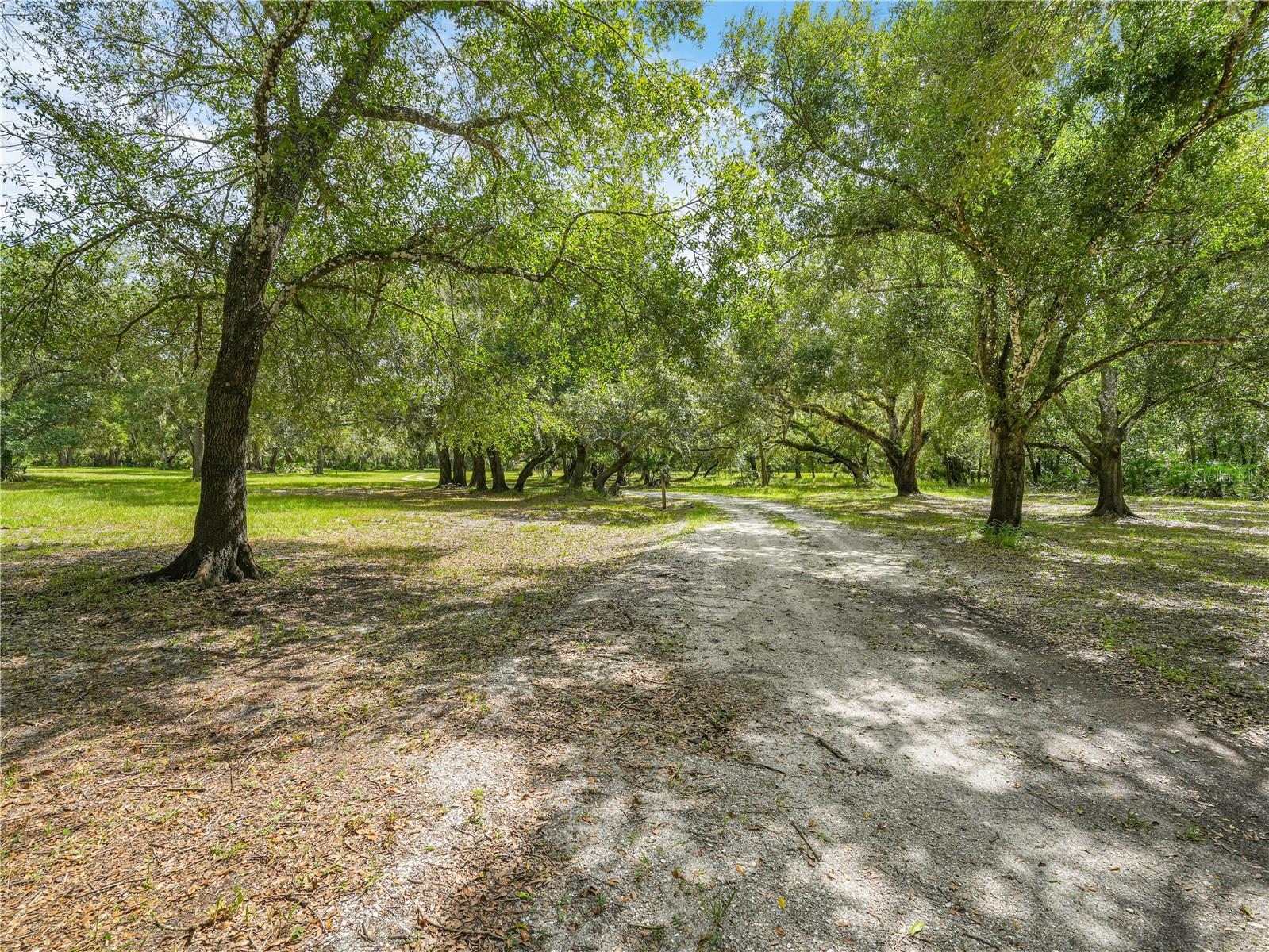 Image 49 of 50 For 6613 Masters Avenue