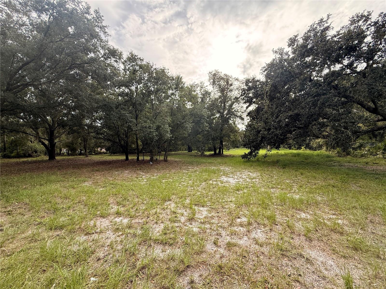 Listing Details for 7805 Turkey Creek Road, PLANT CITY, FL 33567