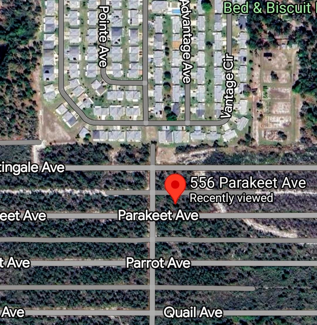 Image 7 of 8 For 556 Parakeet Avenue