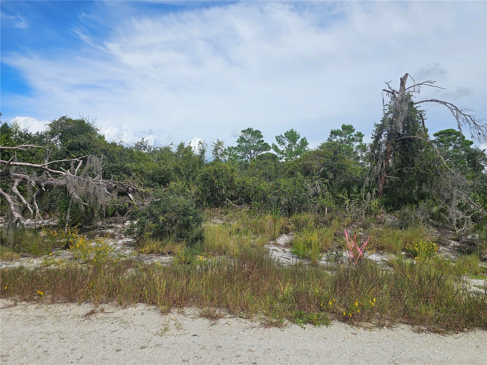 Image 2 of 7 For 123 Patton Avenue