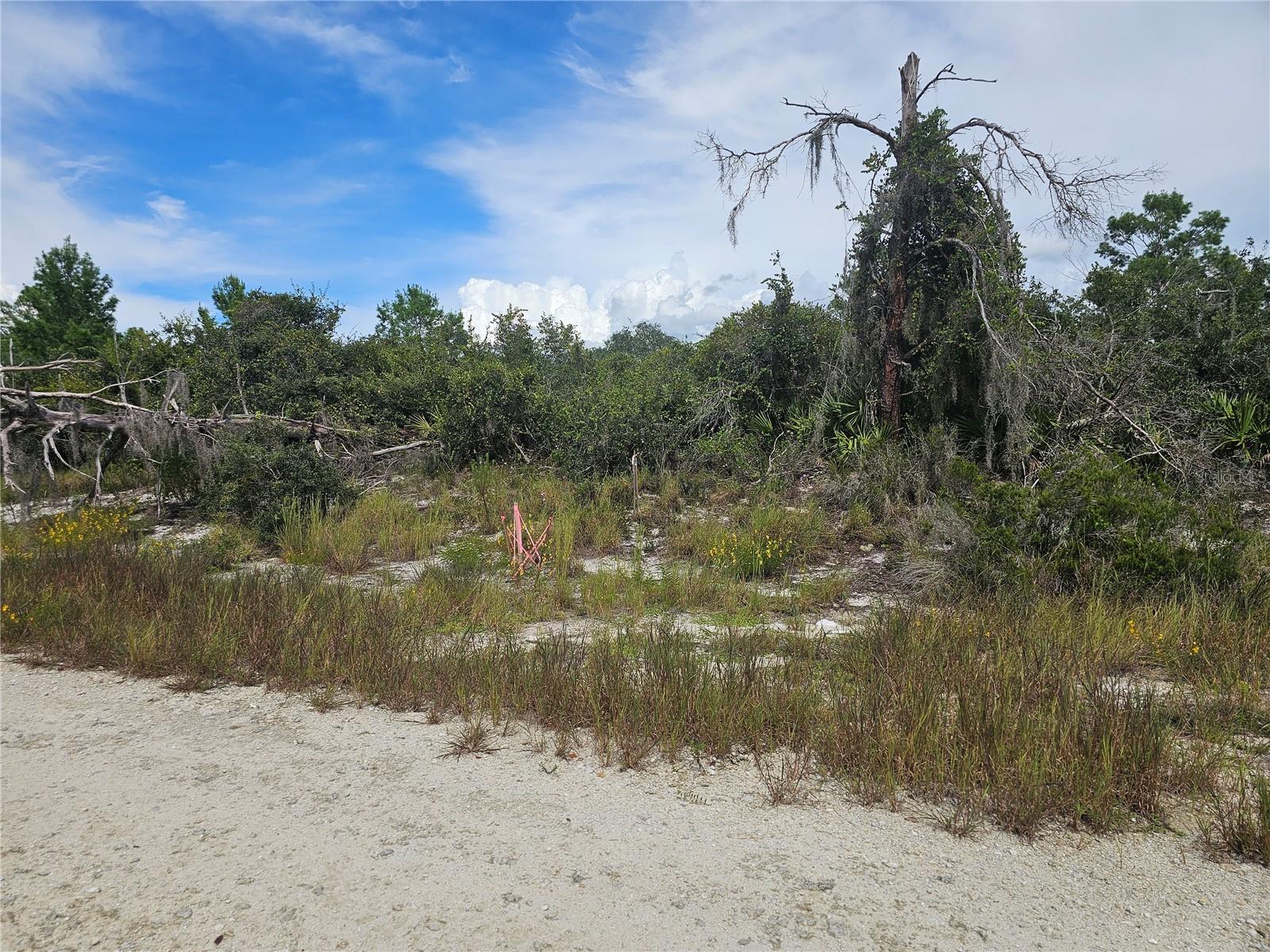 Image 4 of 7 For 123 Patton Avenue