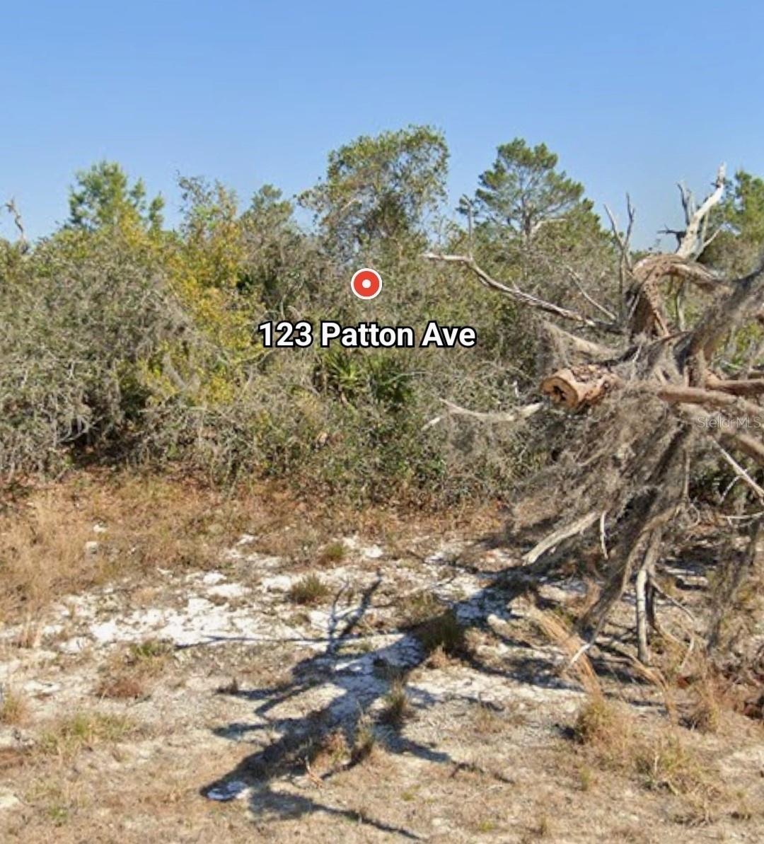 Image 6 of 7 For 123 Patton Avenue