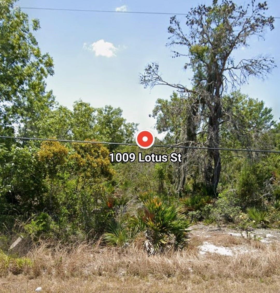 Image 3 of 7 For 1009 Lotus Street