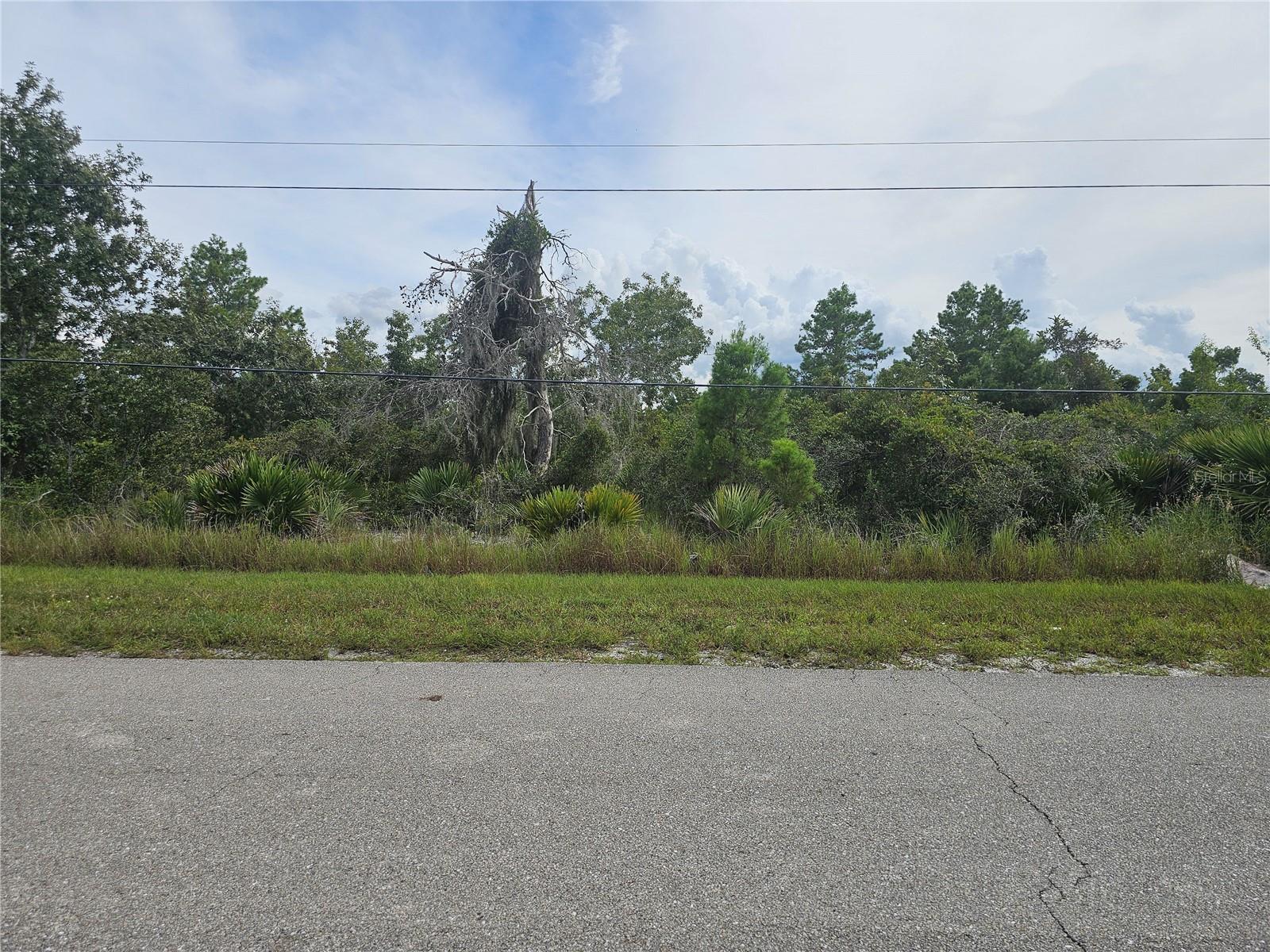 Image 6 of 7 For 1009 Lotus Street