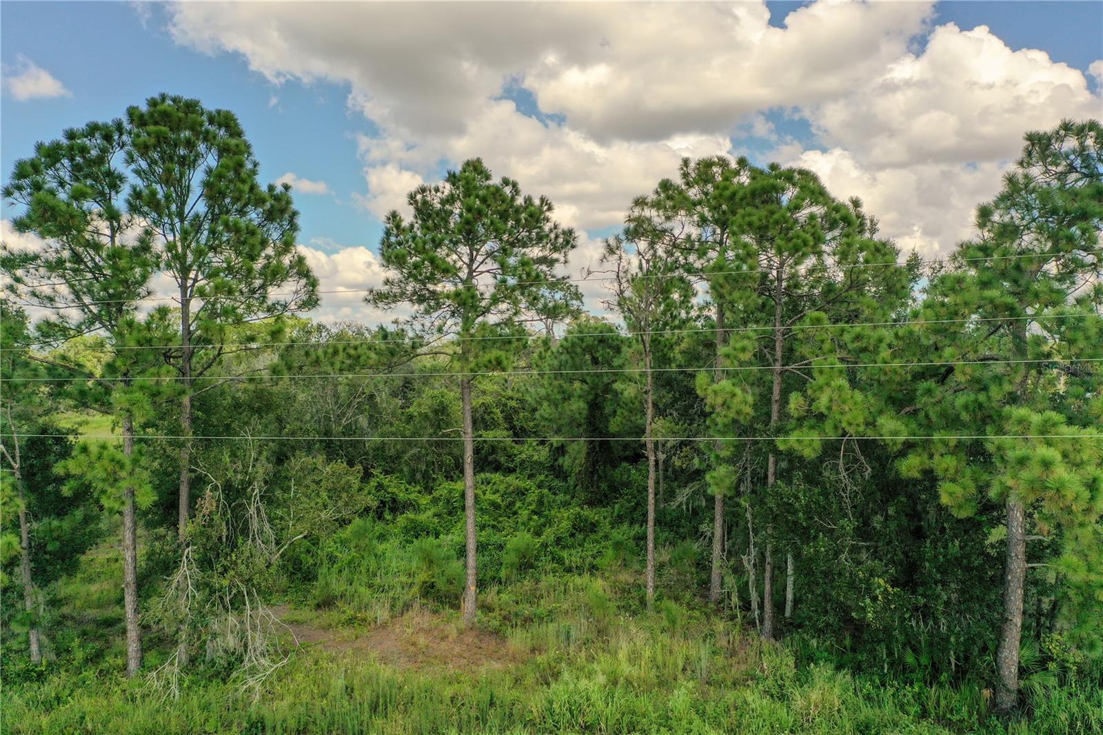 Image 6 of 9 For Otto Polk Road