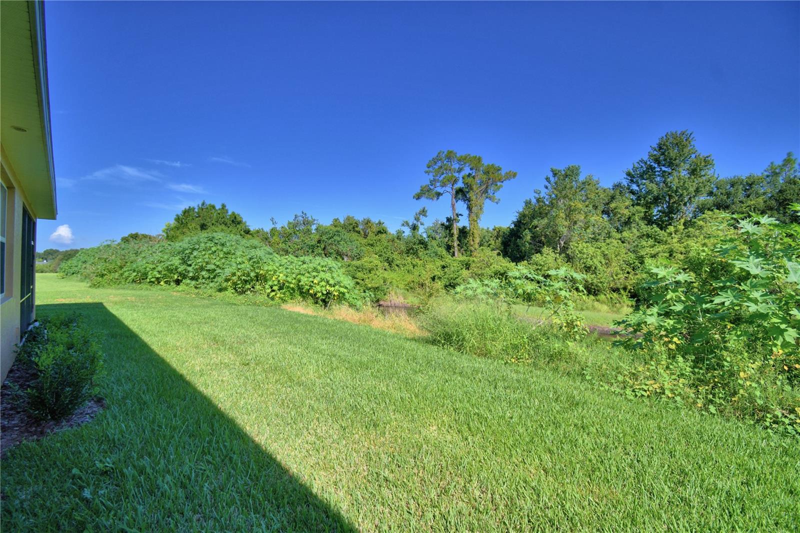 Image 30 of 75 For 1709 Linz Ct