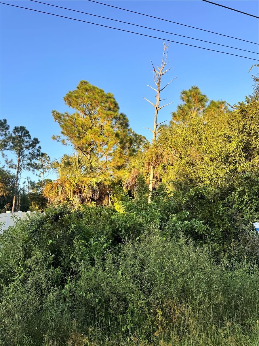 Image 2 of 4 For Colorade Avenue