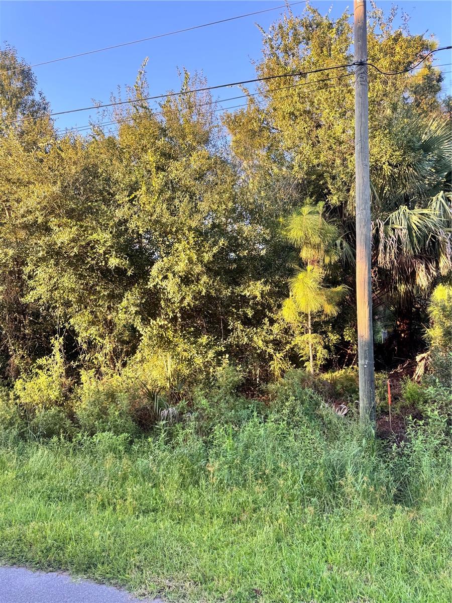 Image 3 of 4 For Colorade Avenue