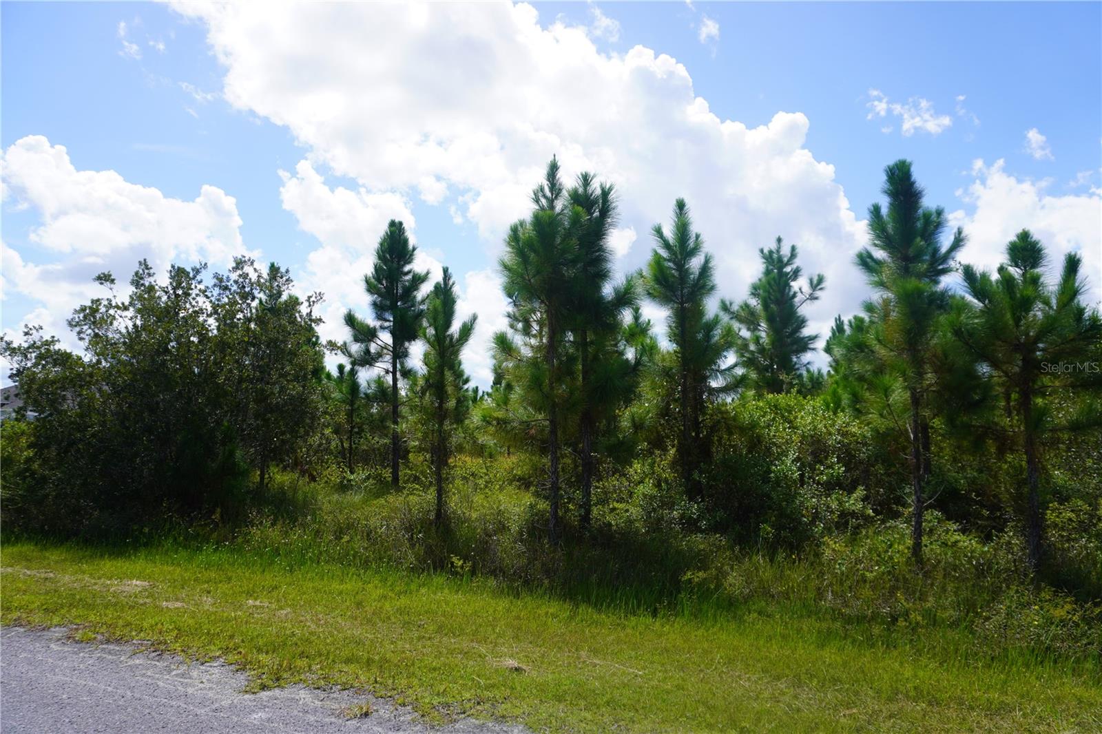 Details for 221 Tropicana Drive, INDIAN LAKE ESTATES, FL 33855