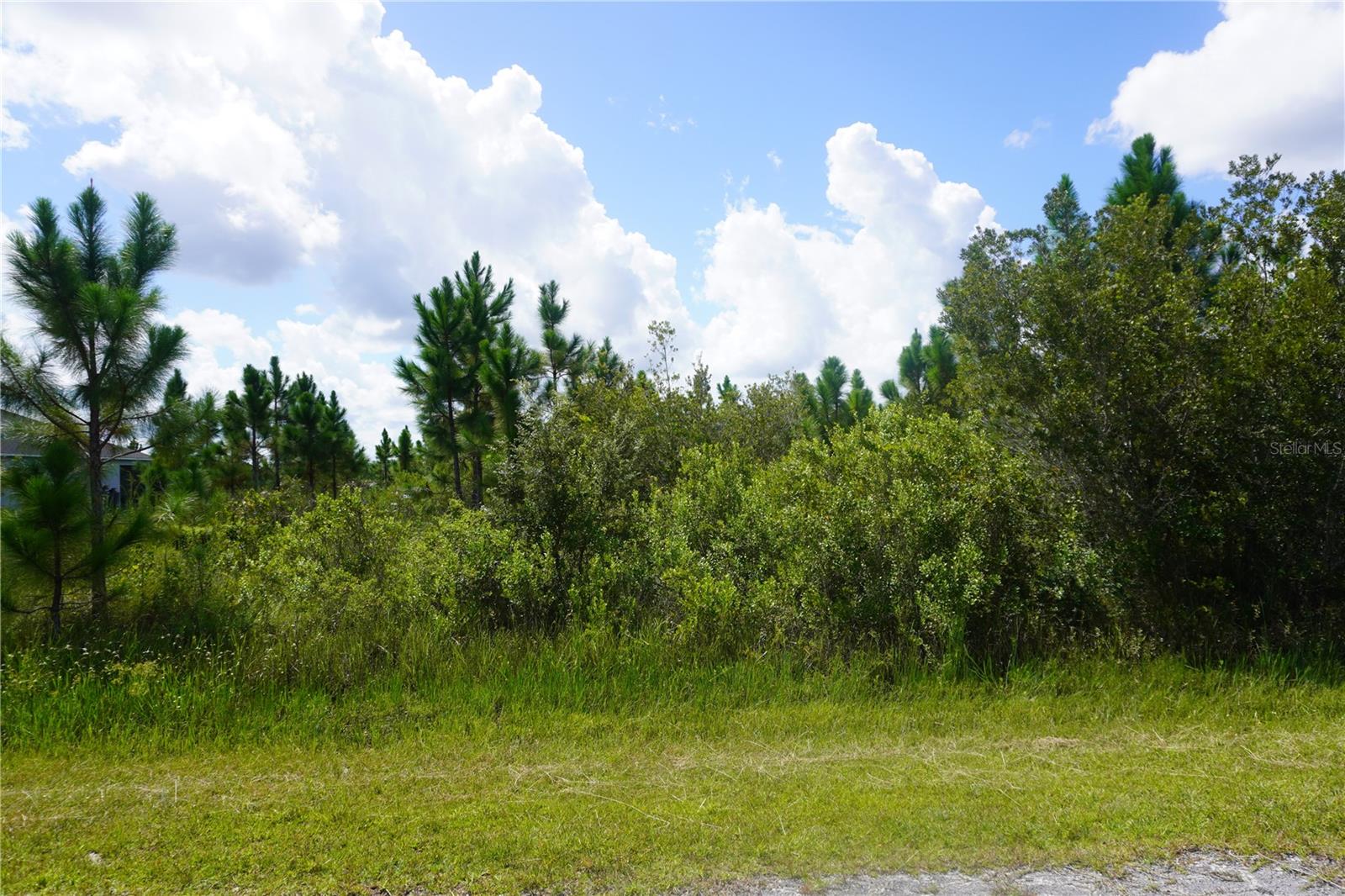 Image 6 of 19 For 221 Tropicana Drive