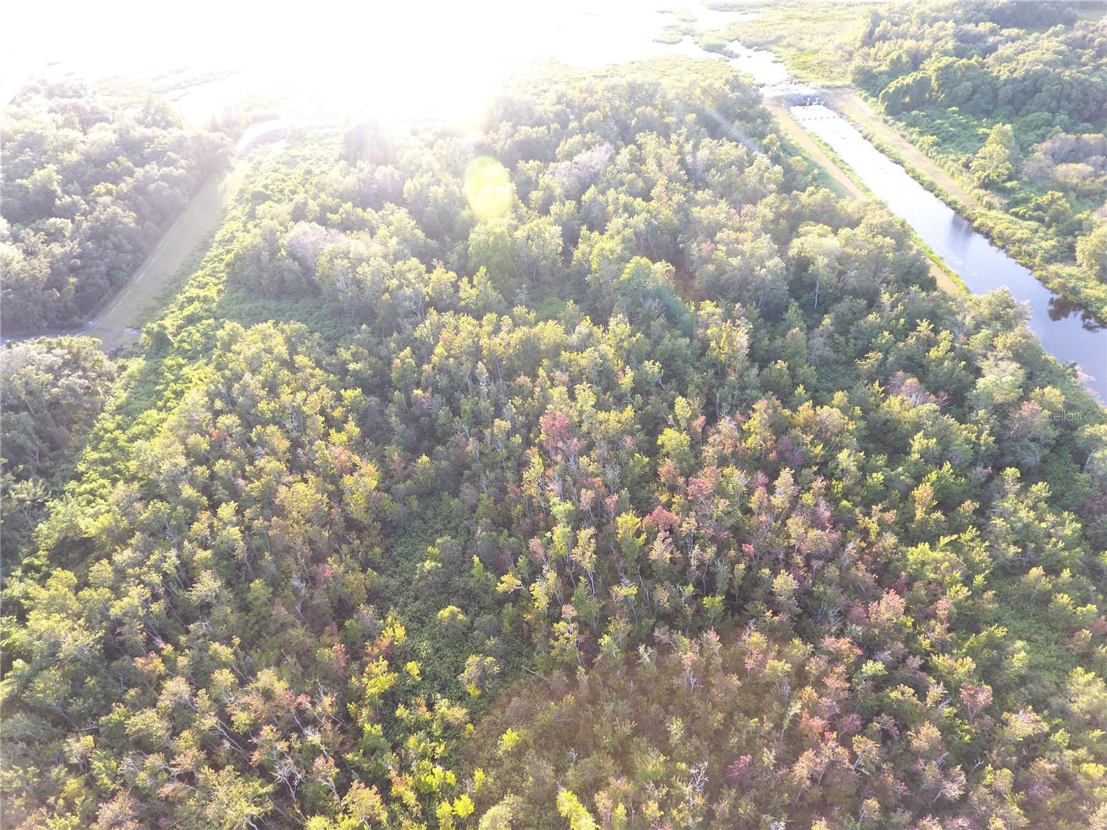 Image 12 of 20 For Hickory Lane W